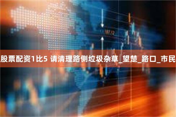 股票配资1比5 请清理路侧垃圾杂草_望楚_路口_市民