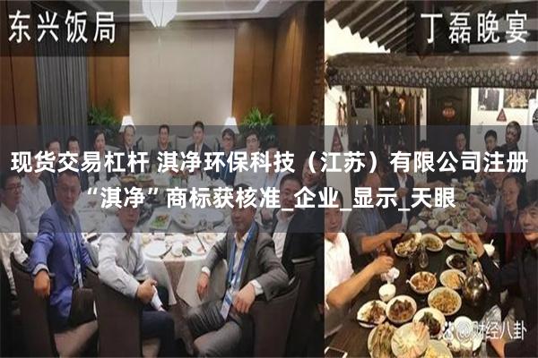 现货交易杠杆 淇净环保科技（江苏）有限公司注册“淇净”商标获核准_企业_显示_天眼