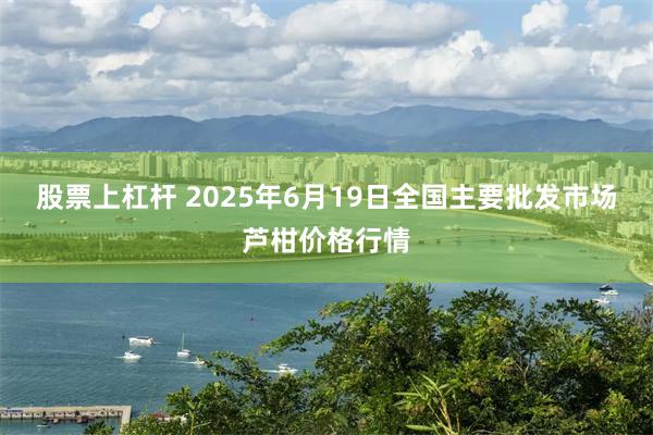 股票上杠杆 2025年6月19日全国主要批发市场芦柑价格行情