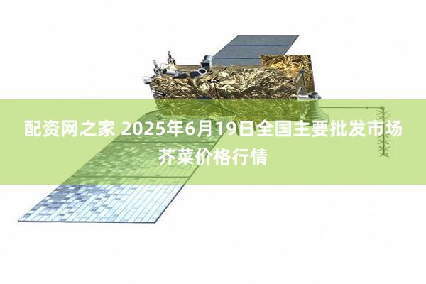 配资网之家 2025年6月19日全国主要批发市场芥菜价格行情
