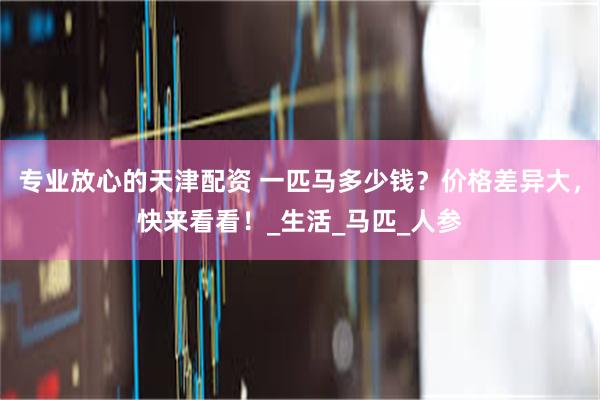专业放心的天津配资 一匹马多少钱？价格差异大，快来看看！_生活_马匹_人参