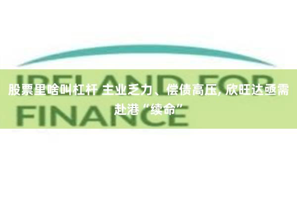 股票里啥叫杠杆 主业乏力、偿债高压, 欣旺达亟需赴港“续命”