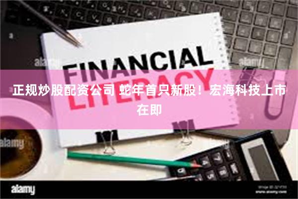 正规炒股配资公司 蛇年首只新股！宏海科技上市在即
