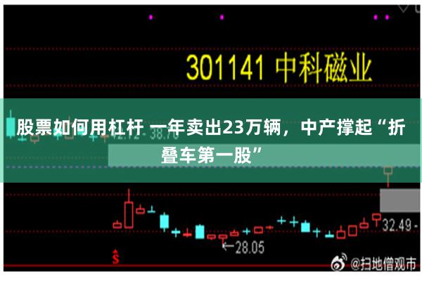 股票如何用杠杆 一年卖出23万辆，中产撑起“折叠车第一股”