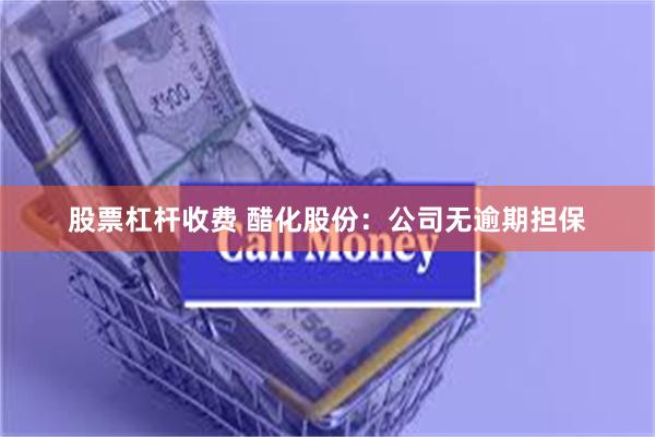 股票杠杆收费 醋化股份：公司无逾期担保